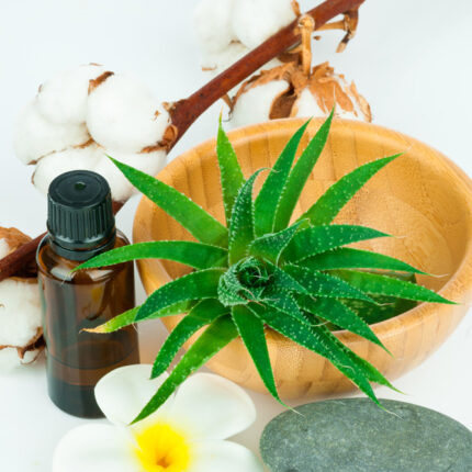 Aloes L-Casei Accent Vitality